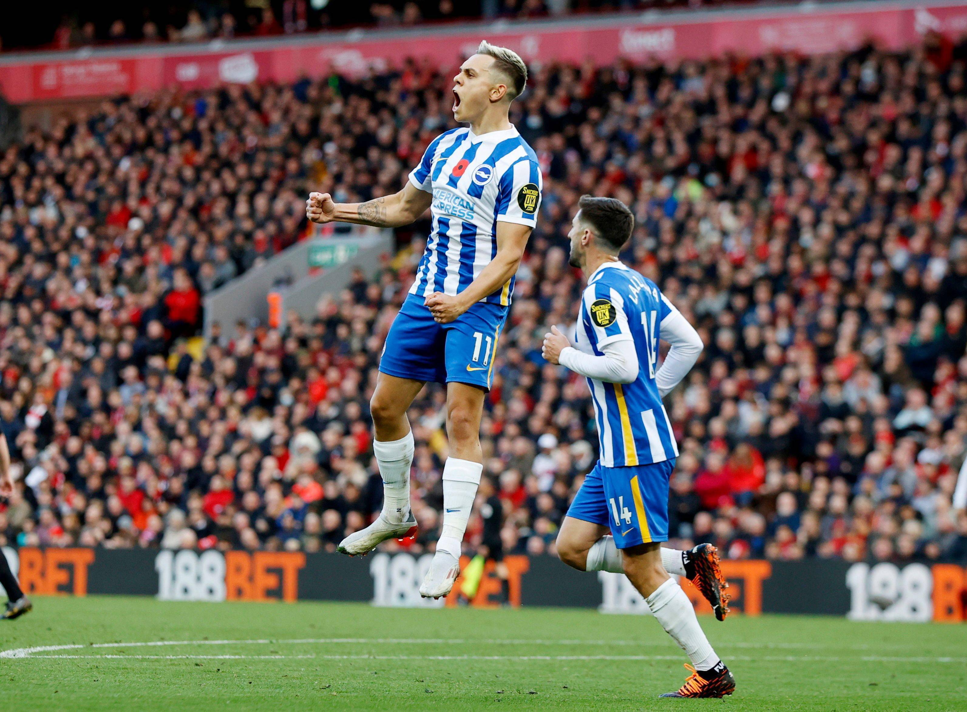 情迎接这个 情迎接这个